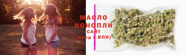 стаф Верея