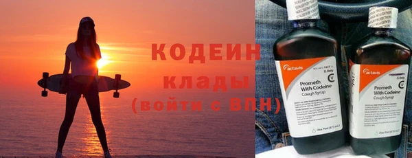 стаф Верея