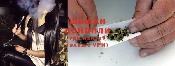стаф Верея