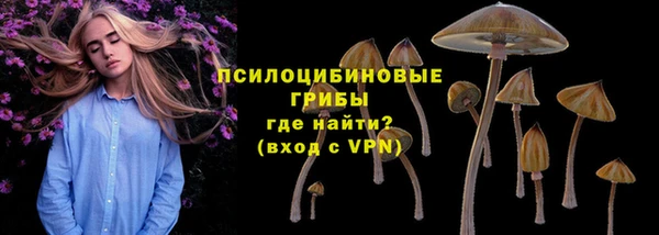 стаф Верея