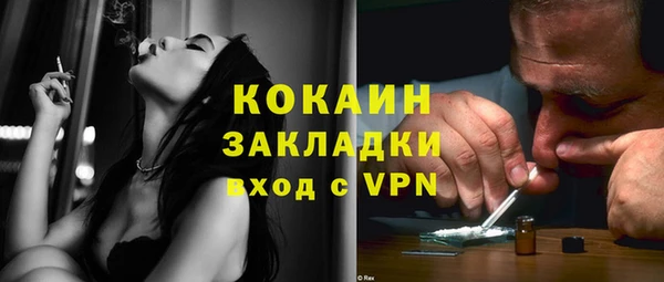 стаф Верея