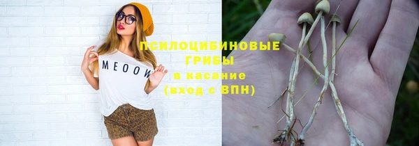 соль ск Волосово